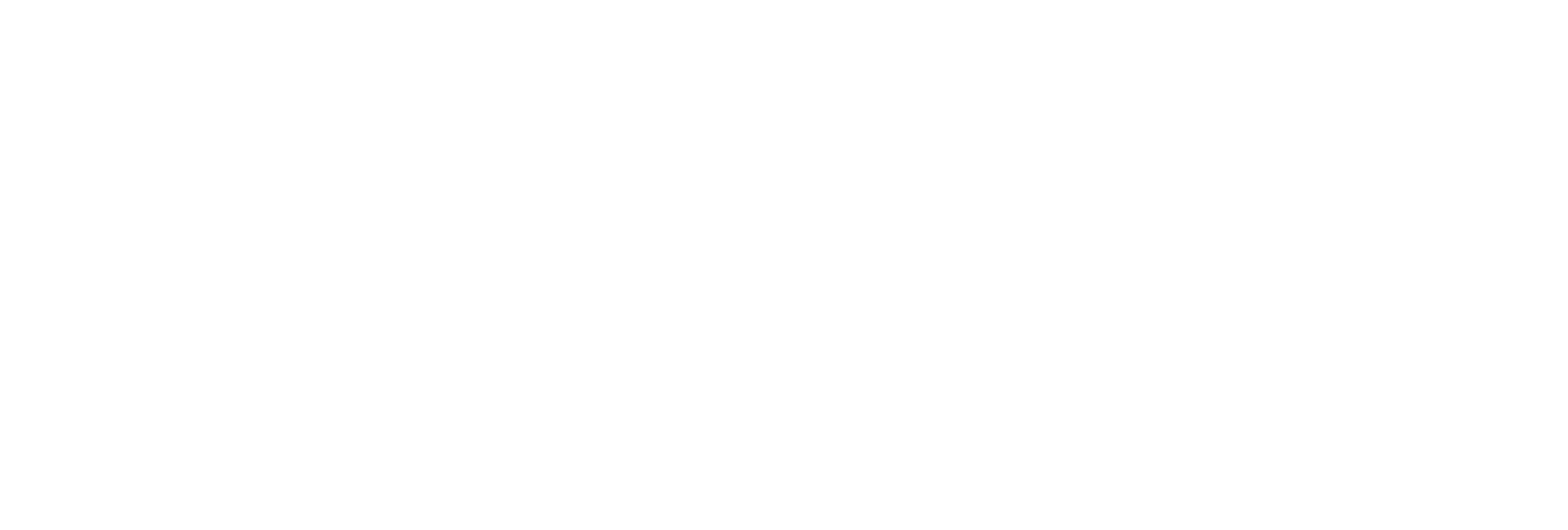 DroneX